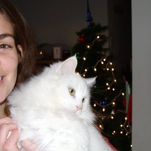 Meet your Posher, Robin